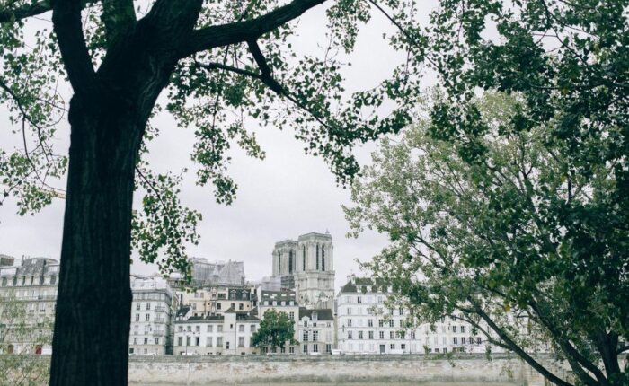 Best photography-friendly day trips from Paris