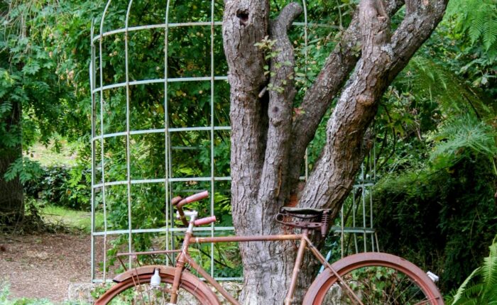 Giverny and Monet’s Garden day tour from Paris