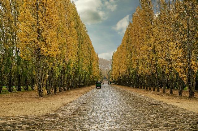 Les meilleures excursions d'une journée de Paris à Versailles
